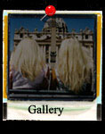 klik voor gallery