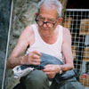 portret nicosia