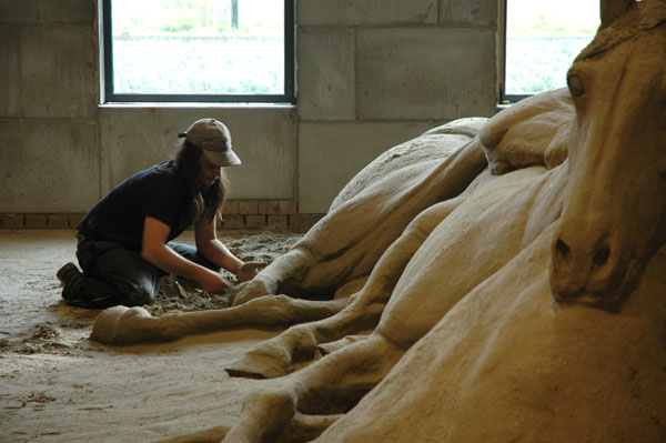 opening paardencrematorium westerhout 2008